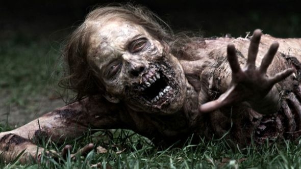 The_Walking_Dead_02