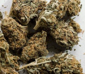 WA Senate Approves Bill for Dropped Marijuana