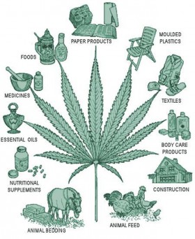 Hemp: Unlimited Fuel for the Green Rush