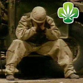 Oregon Senate Approves Medical Marijuana for PTSD