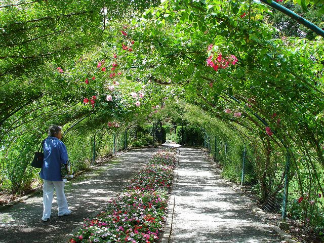 point defiance park tacoma washington trelis walkway stoner destination