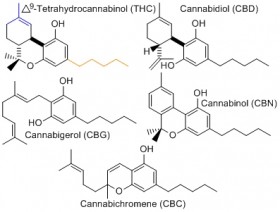 Study: Cannabinoid (CBD) Reduces Cigarette Consumption