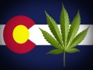 CSU Predicts Coloradans Will Buy Over 2 Million Ounces in 2014