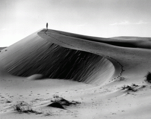 Oregon Sand Dunes