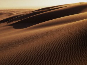 Oregon Sand Dunes