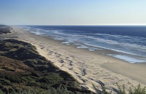 Oregon Sand Dunes