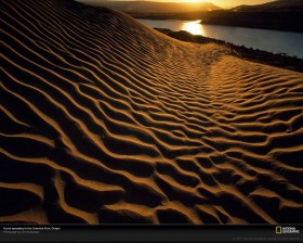 Weedist Destinations: Oregon Sand Dunes