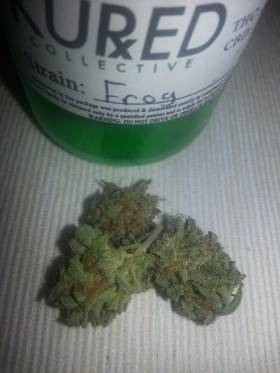 My Favorite Strains: Frog