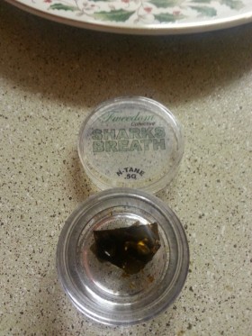 My Favorite Strains: Shark’s Breath Shatter BHO (Dabs)