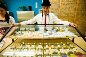 CA Marijuana Dispensary Numbers Shrink in War of Attrition 2 Source http://stopthedrugwar.org/files/imagecache/300px/harborside%20ssdp,org.jpg
