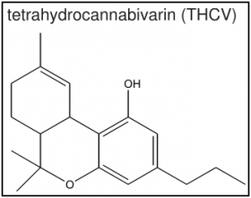 Long-Ignored Cannabinoid THCV May Hold Key to Diabetes