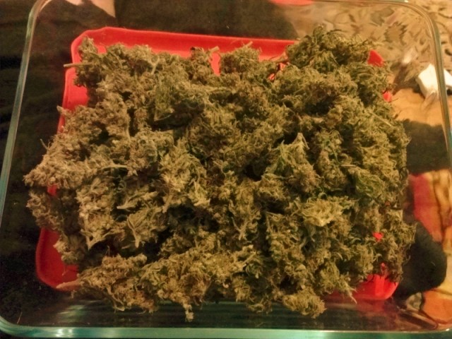curing cannabis, Third Dimension home grow, Source: Prospero