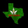 In Prison for Marijuana Possession, Texas Woman Becomes Victim of “Rape Camp”