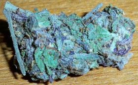 My Favorite Strains: Blue Dream