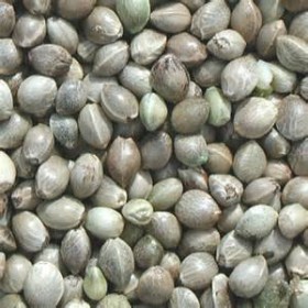 Hemp Seed Nutrition