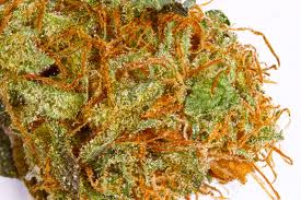 Top 5 Strains Available from Colorado Legal Marijuana Stores, sweet crystals Sweet smell, lots of crystals, and plenty of red hairs with some darker green leaves