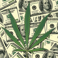 Life Insurance for Marijuana Consumers