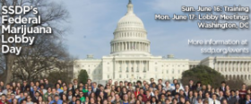 Medical Marijuana Lobby Day – June 17, Washington DC