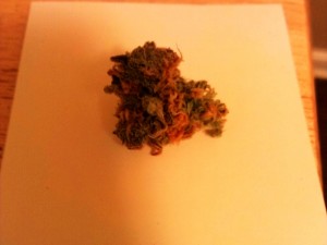 My Favorite Strains: Super Bomb - Weedist, Source: Prospero