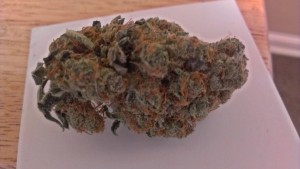 My Favorite Strains: Bruce Banner 2 My Favorite Strains: Bruce Banner 2, Source: Prospero Weedist