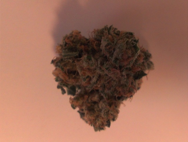 My Favorite Strains: Durban Poison - Weedist 2, Source: Prospero
