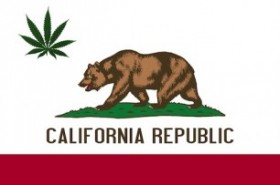 MMJ Speakeasies Rise In Southern California