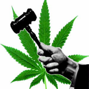 More Failings of the Government's Drug Policies, Source: http://www.themorningsidepost.com/wp-content/uploads/2011/06/2842686_370.jpg