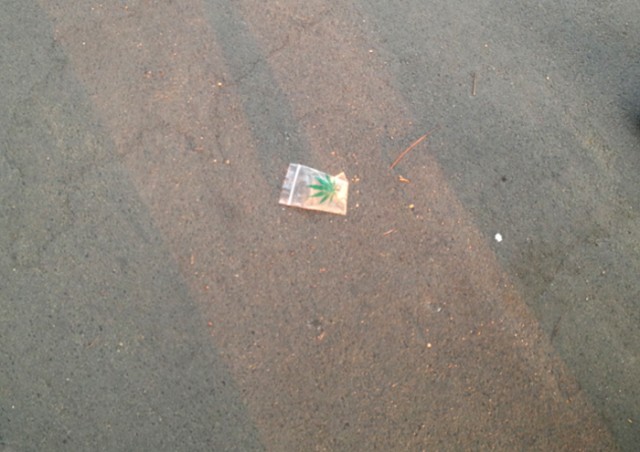 former weed dealer interview animalny park 1 Source http://content.animalnewyork.com/wp-content/uploads/weed-on-ground-park.jpg