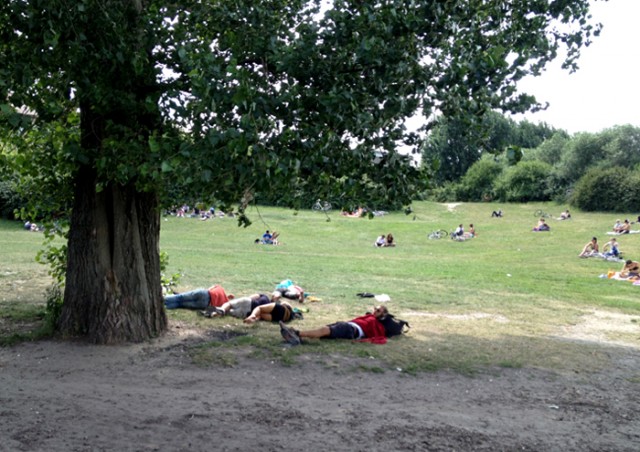 former weed dealer interview animalny park Source http://content.animalnewyork.com/wp-content/uploads/drug-park-1.jpg