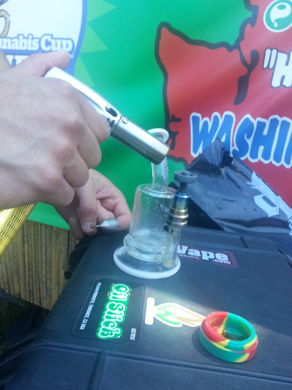 seattle hempfest 2013 weedist 5 rsz_20130818_122803