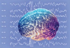 Study: THC Increases Brain Activity With Positive Stimuli