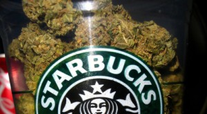 starbucks of cannabis, jamen shivley