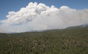 Federal Official: Pot Farmers Didn’t Start Yosemite Fire