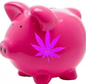 DOJ Considering How To Allow Bank, Pot Shop Transactions