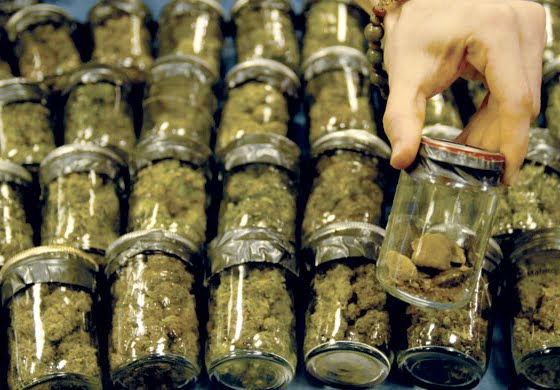 cannabis legalization - Big Marijuana