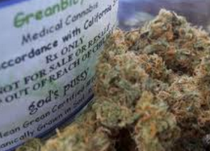 "Hey mom, I think smoking some of God's Pussy will really help you get through chemo..."