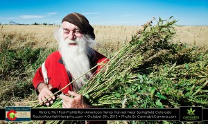 Used with permission from Cannabis Camera