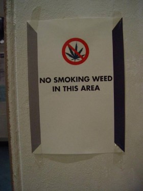 Sorry Denverites, You Can’t Smoke Weed on the Patio, Source: http://www.hempcity.net/travelreports/thenetherlands/cannabiscup2003/image018.jpg