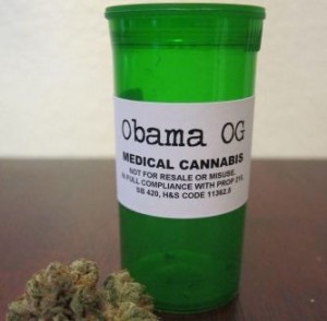 Marijuana Strain Names and the War on Drugs Marijuana Strain Names and the War on Drugs