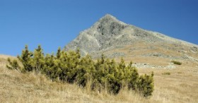 romania legalize medical marijuana Source: http://us.123rf.com/400wm/400/400/palolilo/palolilo0706/palolilo070600111/1148292-view-on-krivan-2494-mnm--high-tatras.jpg
