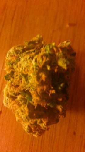 My Favorite Strains: Twista, Source: Prospero Weedist
