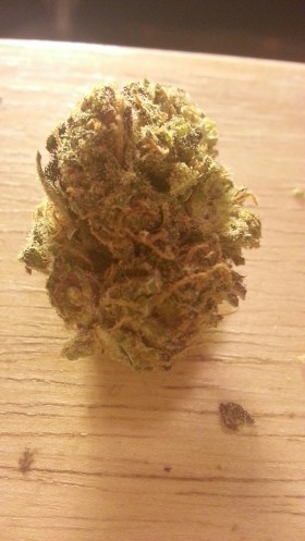 My Favorite Strains: Critical Mass