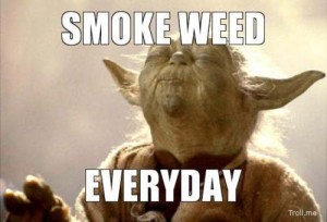 Title: Above the Influence? How about the truth RE: marijuana