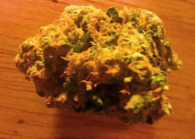 My Favorite Strains: Twista