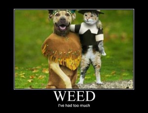Title: How I Know I've Smoked Too Much Cannabis, Source: http://420tribune.com/wp-content/uploads/2011/05/weed-ive-had-too-much.jpg