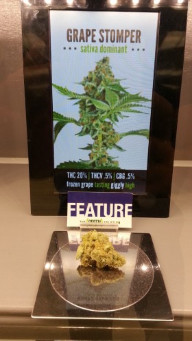 Top 5 Strains Available From Colorado Legal Marijuana Stores
