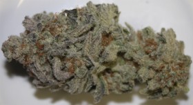 My Favorite Strains: Big Wreck