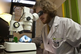 Weedist Women: Rowshan Reordon of Green Leaf Lab, scope, Used with permission from Green Leaf Lab http://www.greenleaflab.org/