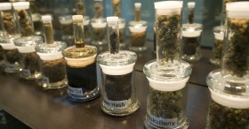 Girl Scout Selling Cookies Outside Dispensary