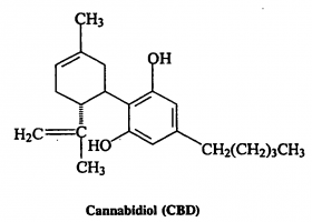 The Fear of Pleasure: Why CBD-Only Legislation is Not a Real Solution